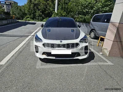 Photo 1 of 10: 2019 Kia Stinger — Korean insurance auction