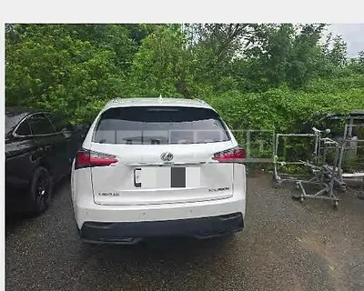 Photo 1 of 18: 2016 Lexus NX300h — Korean insurance auction