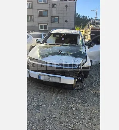 Photo 1 of 6: 2025 Kia Sportage 2.0 LPG — Korean insurance auction