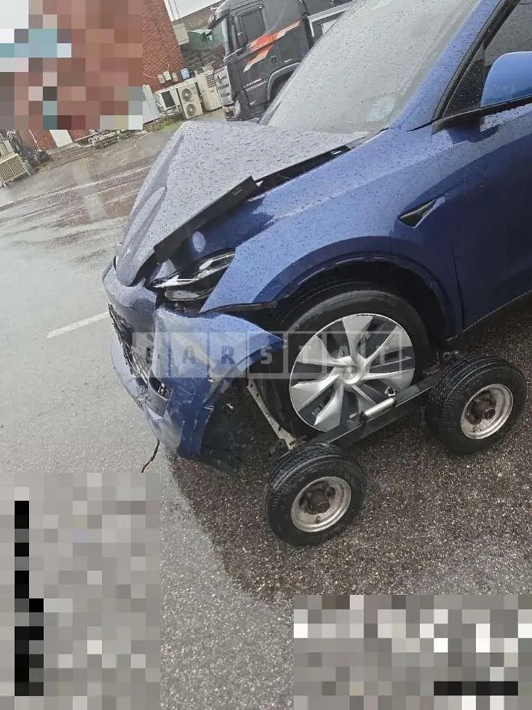 Photo 2 of 8: 2021 Tesla Model Y Standard Range — Korean insurance auction