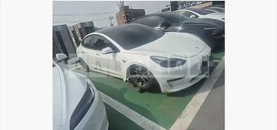 Photo 1 of 38: 2021 Tesla Model 3 Standard Range Plus RWD, VIN 5YJ3E1EA8MF889451 — Korean insurance auction