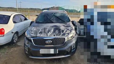 Photo 1 of 14: 2016 Kia Sorento 2.0 — Korean insurance auction