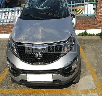 Photo 1 of 19: 2015 Kia Sportage, VIN KNAPC813BFK764968 — Korean insurance auction