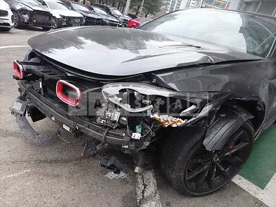 2019 Stinger stinger