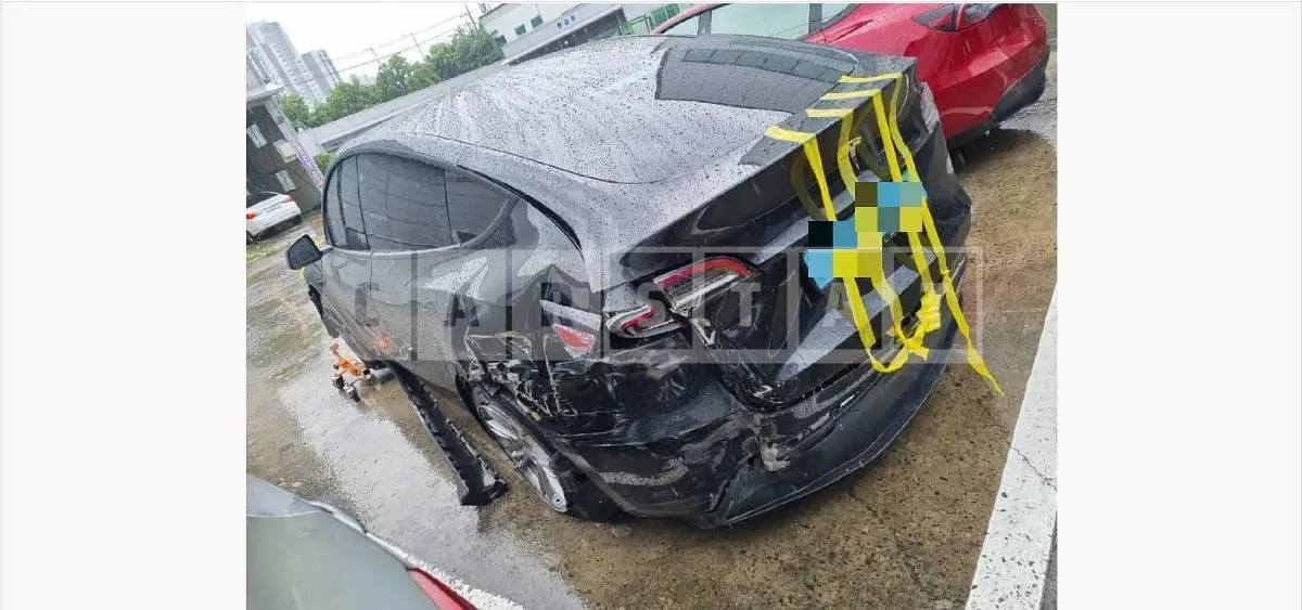 Photo 2 of 32: 2023 Tesla Model Y RWD — Korean insurance auction