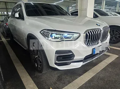 Photo 1 of 2: 2023 BMW X5 xDrive30d — Korean insurance auction
