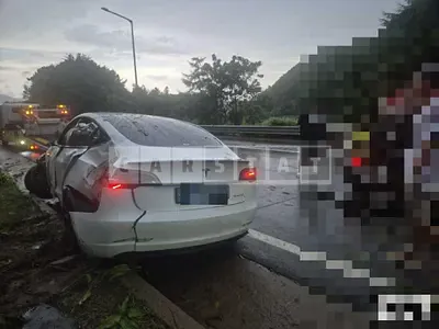 Photo 1 of 13: 2020 Tesla Model 3 Performance — Korean insurance auction