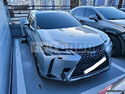 Photo 1 of 19: 2019 Lexus Ux 250h 2WD, VIN JTHY6JBH2K2001652 — Korean insurance auction