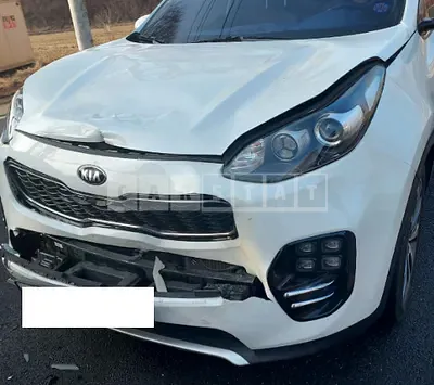 Photo 1 of 15: 2016 Kia Sportage, VIN KNAPN813BGK008780 — Korean insurance auction