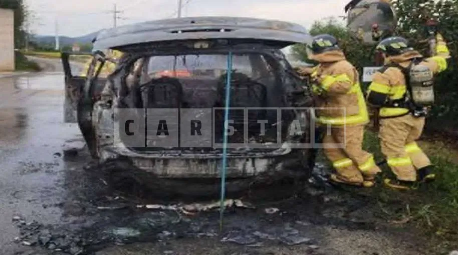 Photo 2 of 7: 2020 Kia Carnivals — Korean insurance auction