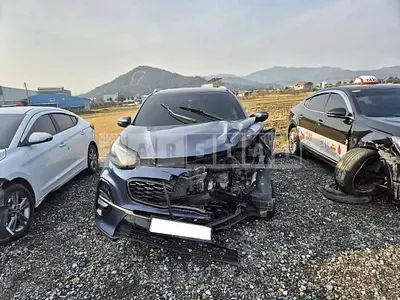 Photo 1 of 14: 2019 Kia Sportage, VIN KNAPN813BKK680357 — Korean insurance auction