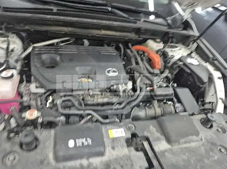 Photo 2 of 157: 2024 Lexus NX350h — Korean insurance auction