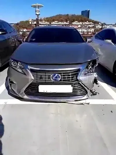 2017 lexus /es300h