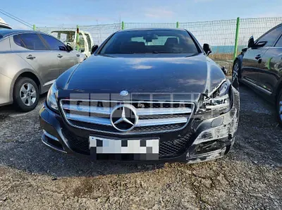 Photo 1 of 10: 2014 Mercedes-Benz CLS250 CDI — Korean insurance auction