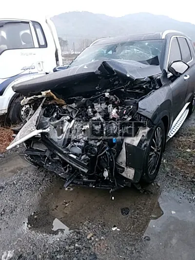 Photo 1 of 15: 2020 Hyundai Palisade 2.2 (4WD) — Korean insurance auction