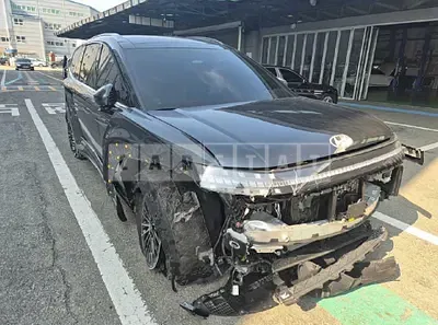 2025 * Hyundai Ioniq 9 (IONIQ 9)