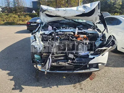 Photo 1 of 10: 2024 Kia Carnival Hybrid, VIN KNANC81ABRS007969 — Korean insurance auction