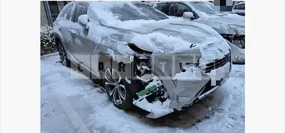 Photo 1 of 29: 2018 Lexus RX450h — Korean insurance auction
