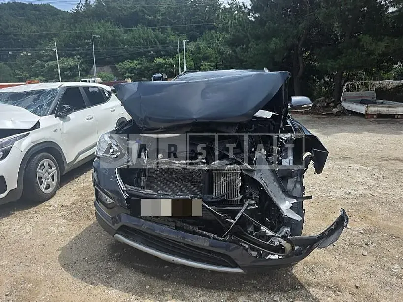 Photo 2 of 13: 2016 Hyundai Santa Fe DM — Korean insurance auction
