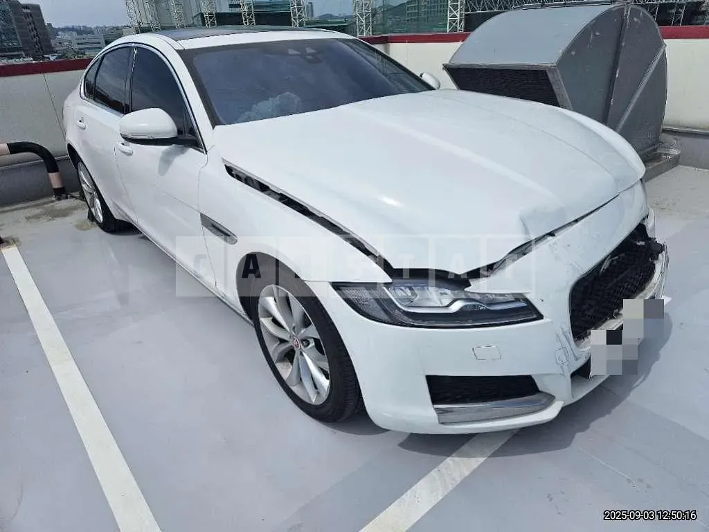 Photo 2 of 14: 2019 Jaguar XF 20d — Korean insurance auction