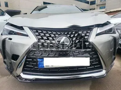 2024 Lexus UX 250h 2WD