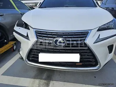 Photo 1 of 21: 2020 Lexus NX300h — Korean insurance auction
