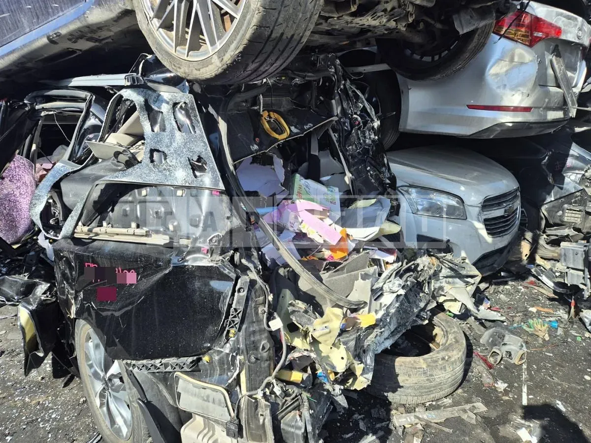 Photo 2 of 7: 2015 Kia Carnivals — Korean insurance auction