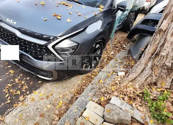 Photo 2 of 24: 2022 Kia Sportage, VIN KNAPV81BGNK094941 — Korean insurance auction