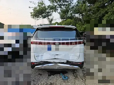 Photo 1 of 13: 2020 Kia Carnival 2.2 — Korean insurance auction