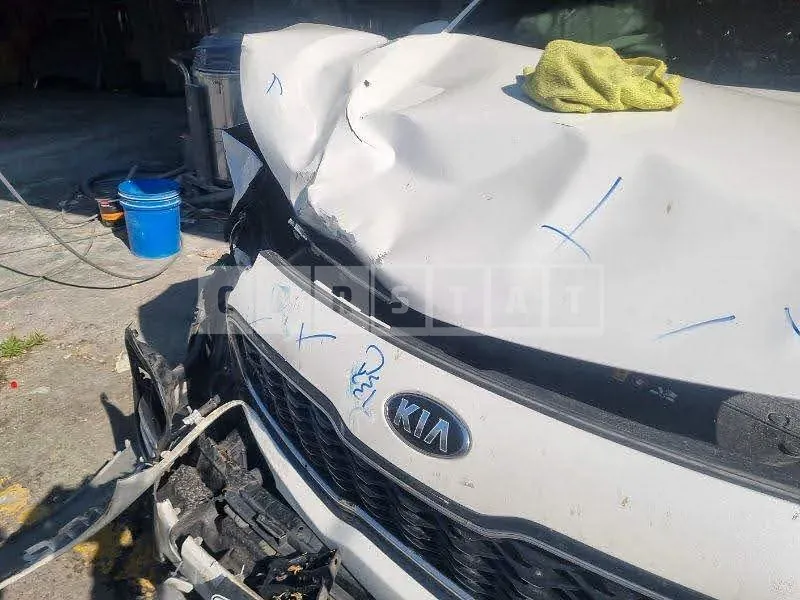 Photo 2 of 16: 2018 Kia Sportage, VIN KNAP6815GJK514481 — Korean insurance auction