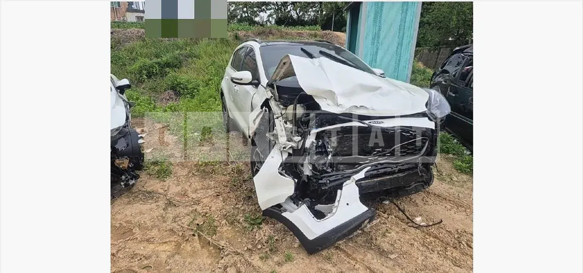 Photo 2 of 12: 2019 Kia Sportage Gasoline — Korean insurance auction