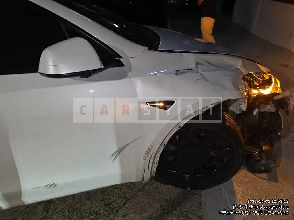 Photo 2 of 11: 2021 Tesla Model Y Standard Range — Korean insurance auction