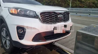 Photo 1 of 14: 2019 Kia Sorento 2.0, VIN KNAPG81ABLA569924 — Korean insurance auction