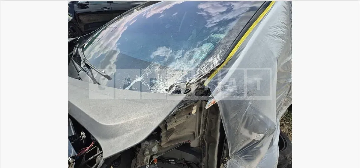 Photo 2 of 25: 2019 Tesla Model X 100d — Korean insurance auction