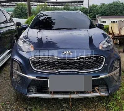 Photo 1 of 16: 2019 Kia Sportage, VIN KNAPN813BKK658261 — Korean insurance auction