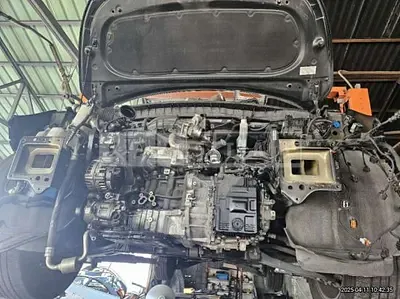 Photo 1 of 14: 2019 Kia Carnival — Korean insurance auction