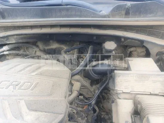Photo 2 of 10: 2022 Kia Sportage — Korean insurance auction