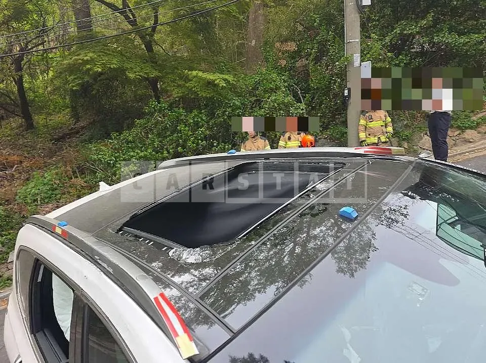 Photo 2 of 15: 2019 Hyundai Santa Fe TM Gasoline — Korean insurance auction