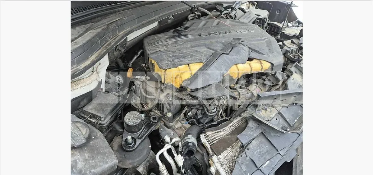 Photo 2 of 17: 2020 Hyundai Santa Fe TM Diesel 2.2 4WD — Korean insurance auction