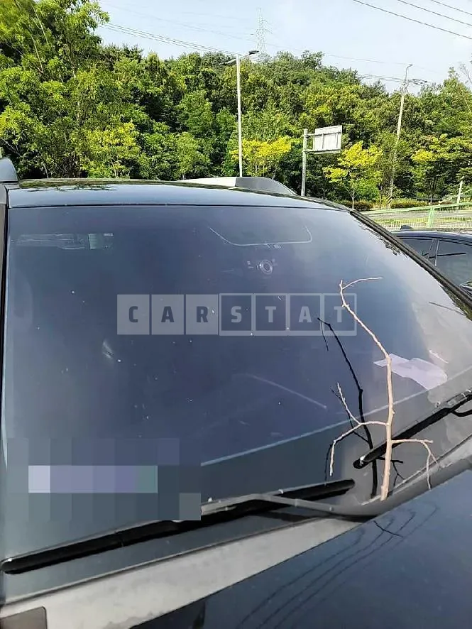 Photo 2 of 18: 2014 Kia Mojave 3.0 (4WD) — Korean insurance auction