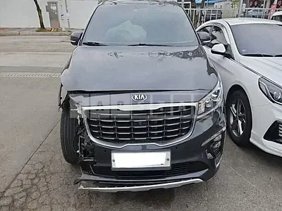 2019 Carnival carnival limousine