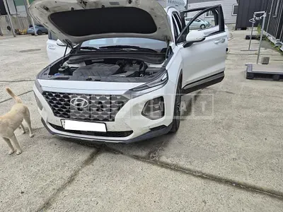 Photo 1 of 11: 2019 Hyundai Santa Fe, VIN KMHS281BBLU228209 — Korean insurance auction