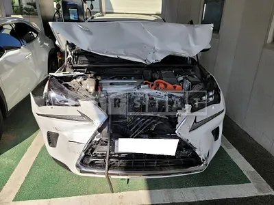 Photo 1 of 20: 2020 Lexus NX300h, VIN JTJDJRDZ2M2153756 — Korean insurance auction