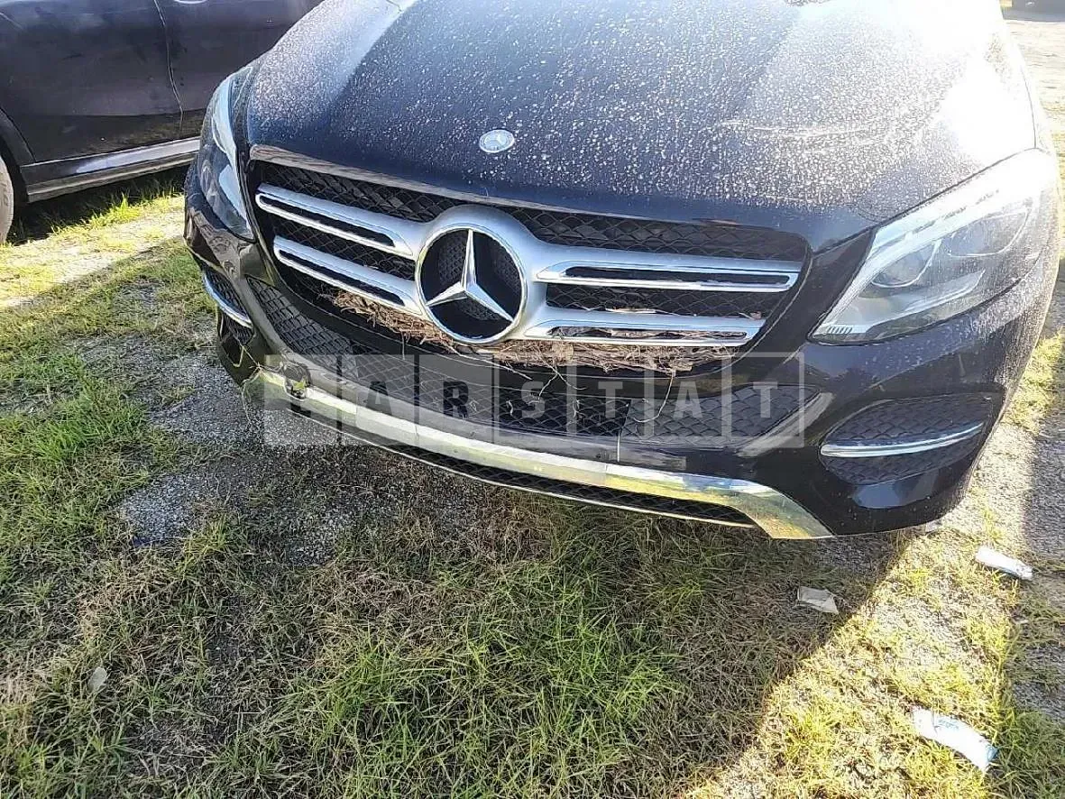 Photo 2 of 11: 2016 Mercedes-Benz GLE250 d 4Matic — Korean insurance auction