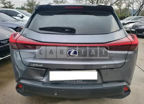 Photo 2 of 41: 2019 Lexus Ux 250h 2WD, VIN JTHY6JBH1K2001609 — Korean insurance auction
