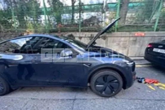 Photo 2 of 6: 2025 Tesla Model Y RWD, VIN LRWYGCFJ6SC106273 — Korean insurance auction