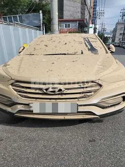 Photo 1 of 4: 2018 Hyundai Calm Santa Fe 2.0 — Korean insurance auction