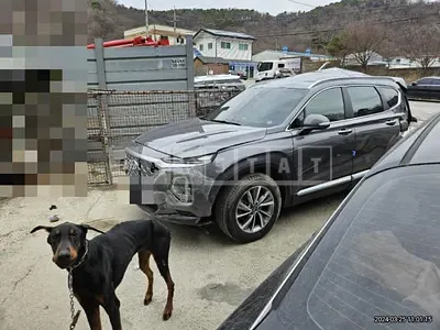 Photo 1 of 17: 2020 Hyundai Santa Fe TM 2.0 (Gasoline), VIN KMHS281ABLU296695 — Korean insurance auction
