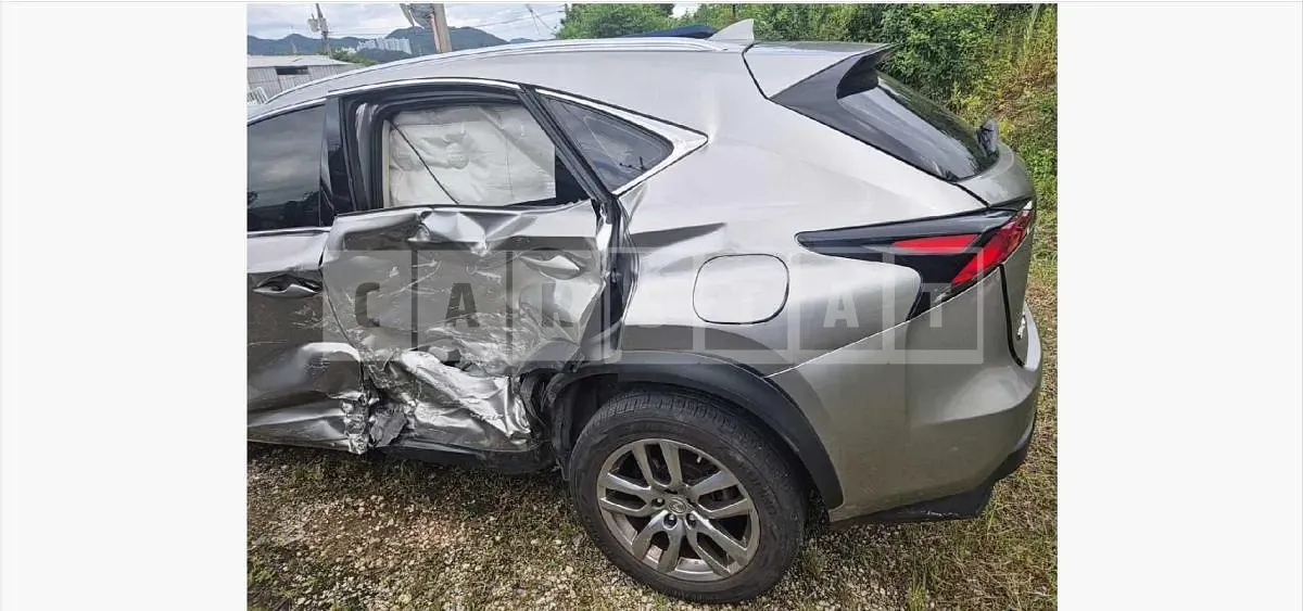 Photo 2 of 23: 2017 Lexus NX300h — Korean insurance auction