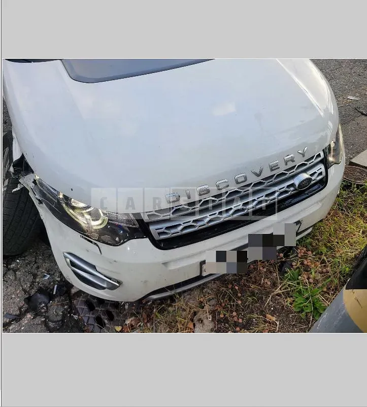Photo 2 of 9: 2018 Land Rover Discovery Sport 2.0d — Korean insurance auction